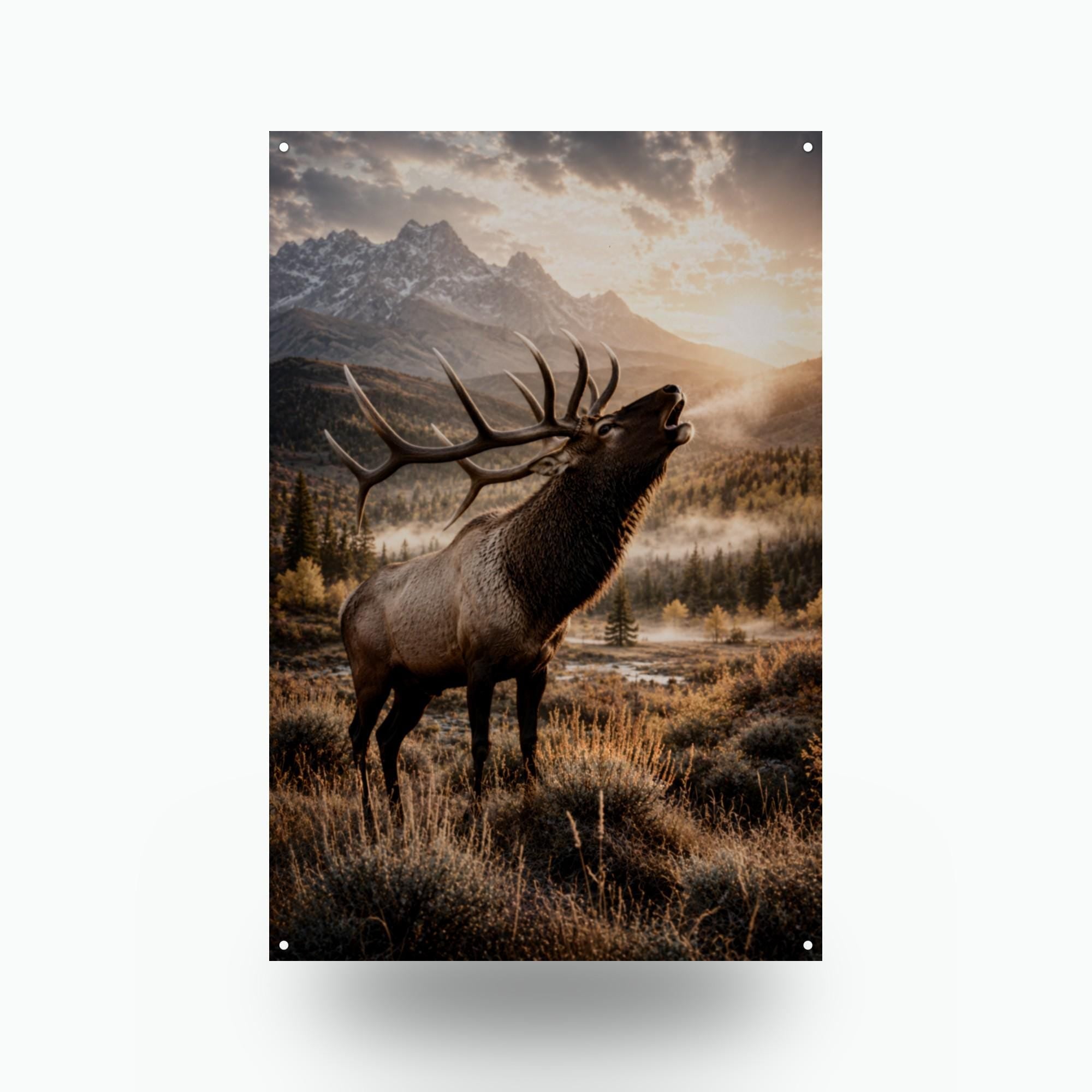 Wildlife & Outdoors