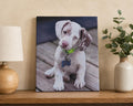 Personalized Pet Canvas Print Canvas Print — front view on white background