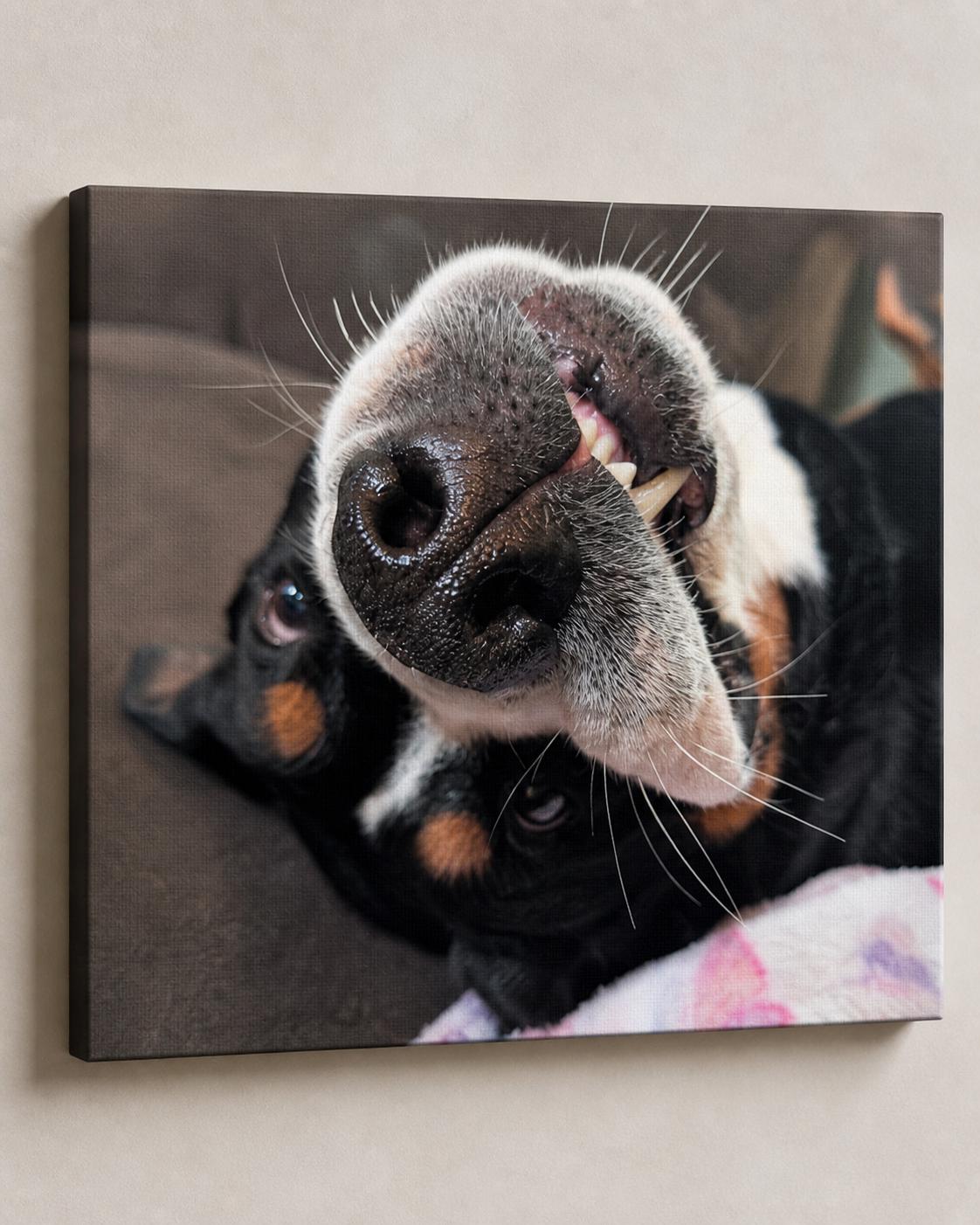 Personalized Pet Canvas Print Canvas Print — alternate angle