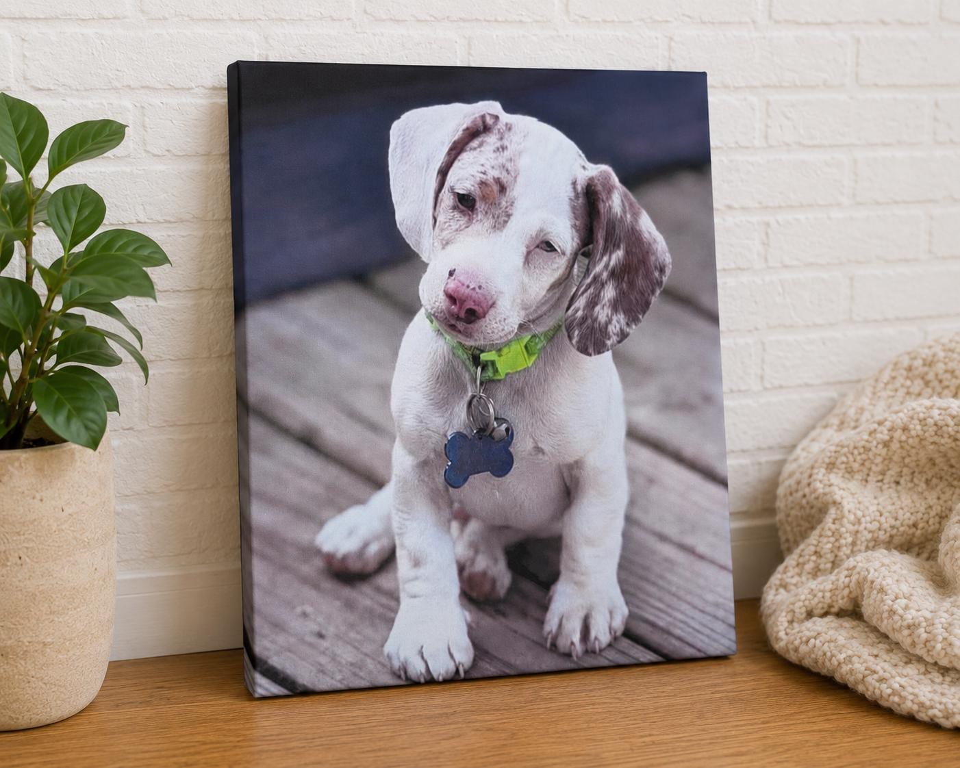 Personalized Pet Canvas Print Canvas Print — alternate angle
