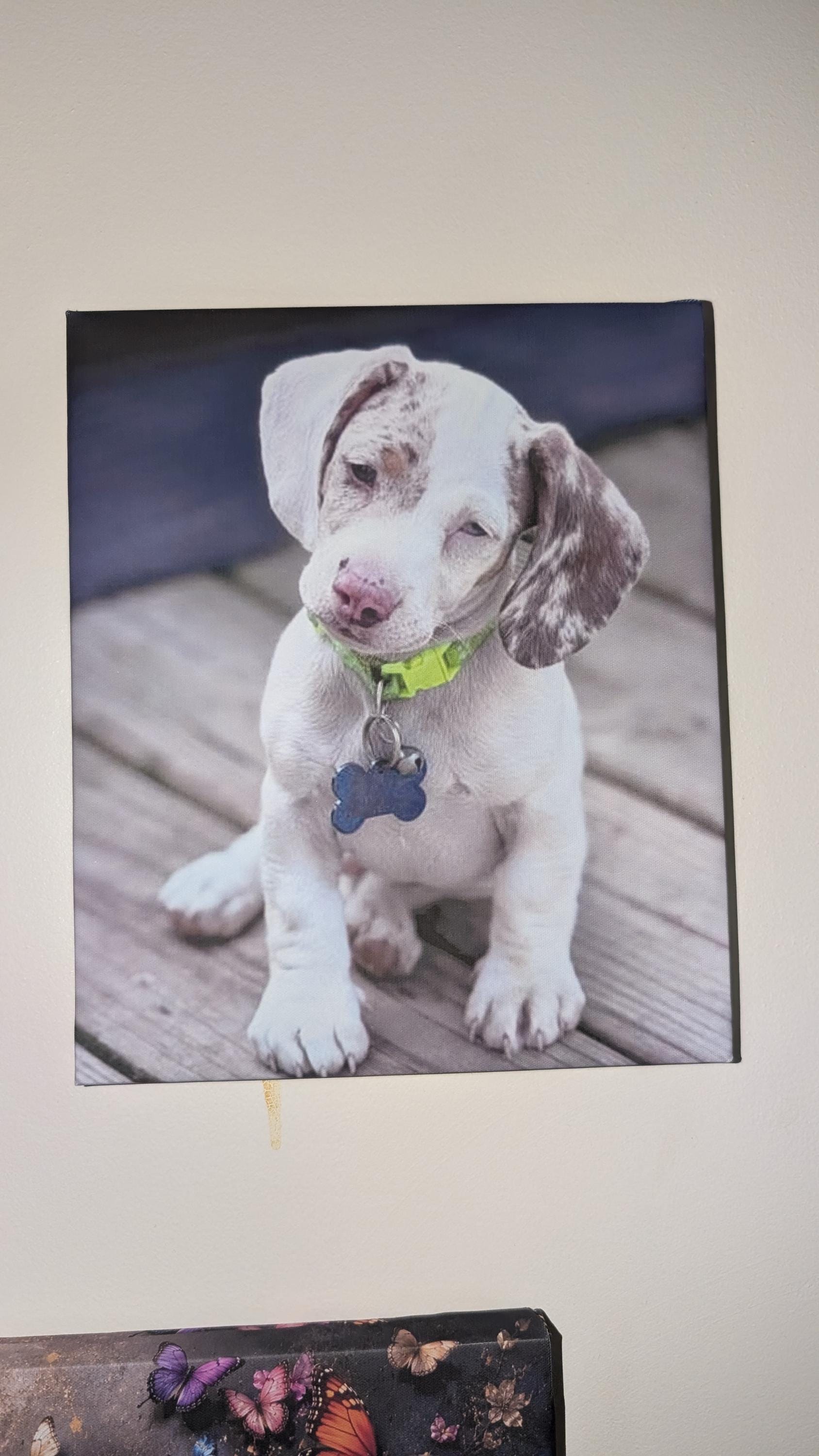 Personalized Pet Canvas Print Canvas Print — alternate angle