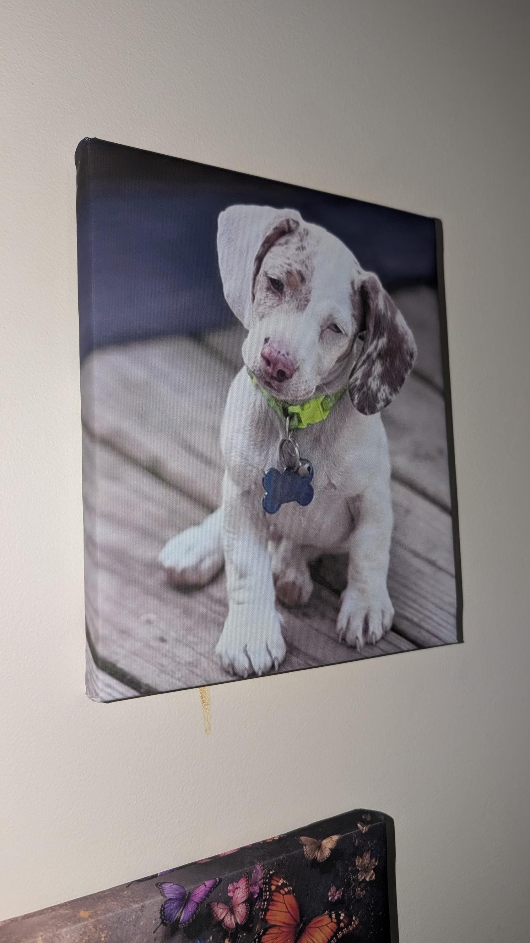 Personalized Pet Canvas Print Canvas Print — alternate angle