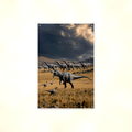Predator Dinosaur, Storm Plains Scene - Metal Sign 8x12 & 12x18 — Full product view