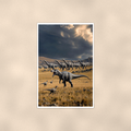 Predator Dinosaur, Storm Plains Scene - Poster 16x24 & 24x36 — Full product view