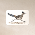 Running Roadrunner metal wall art, ink color splash, 12x8 aluminum