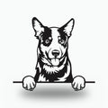 Australian Cattle Dog Metal Wall Art Metal Dog Sign — front view on white background
