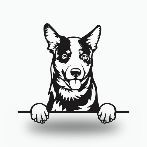 Australian Cattle Dog Metal Wall Art Metal Dog Sign — front view on white background