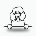 Poodle Metal Wall Art Metal Dog Sign — front view on white background