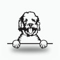Labradoodle Metal Wall Art Metal Dog Sign — front view on white background
