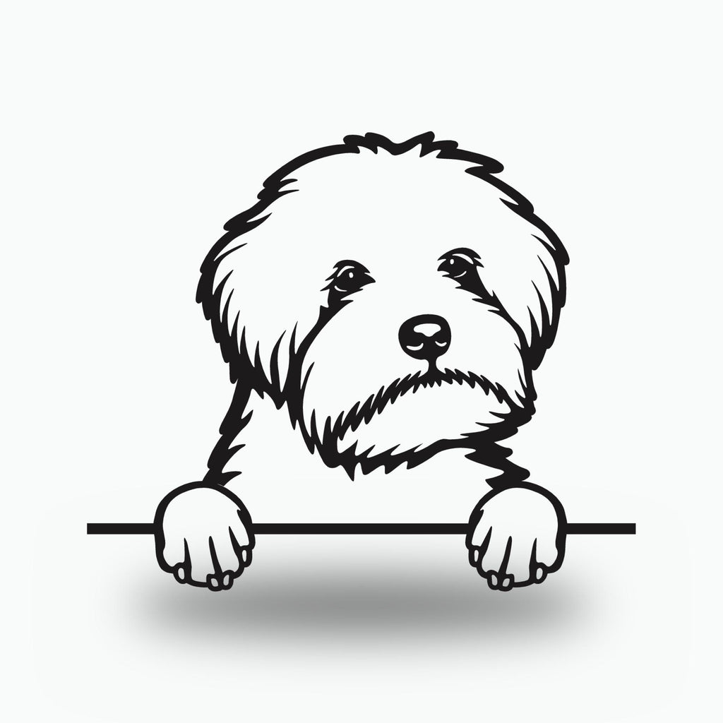 Maltipoo Metal Wall Art Metal Dog Sign — front view on white background