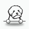Maltipoo Metal Wall Art Metal Dog Sign — front view on white background