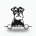 Schnauzer Metal Wall Art Metal Dog Sign — front view on white background