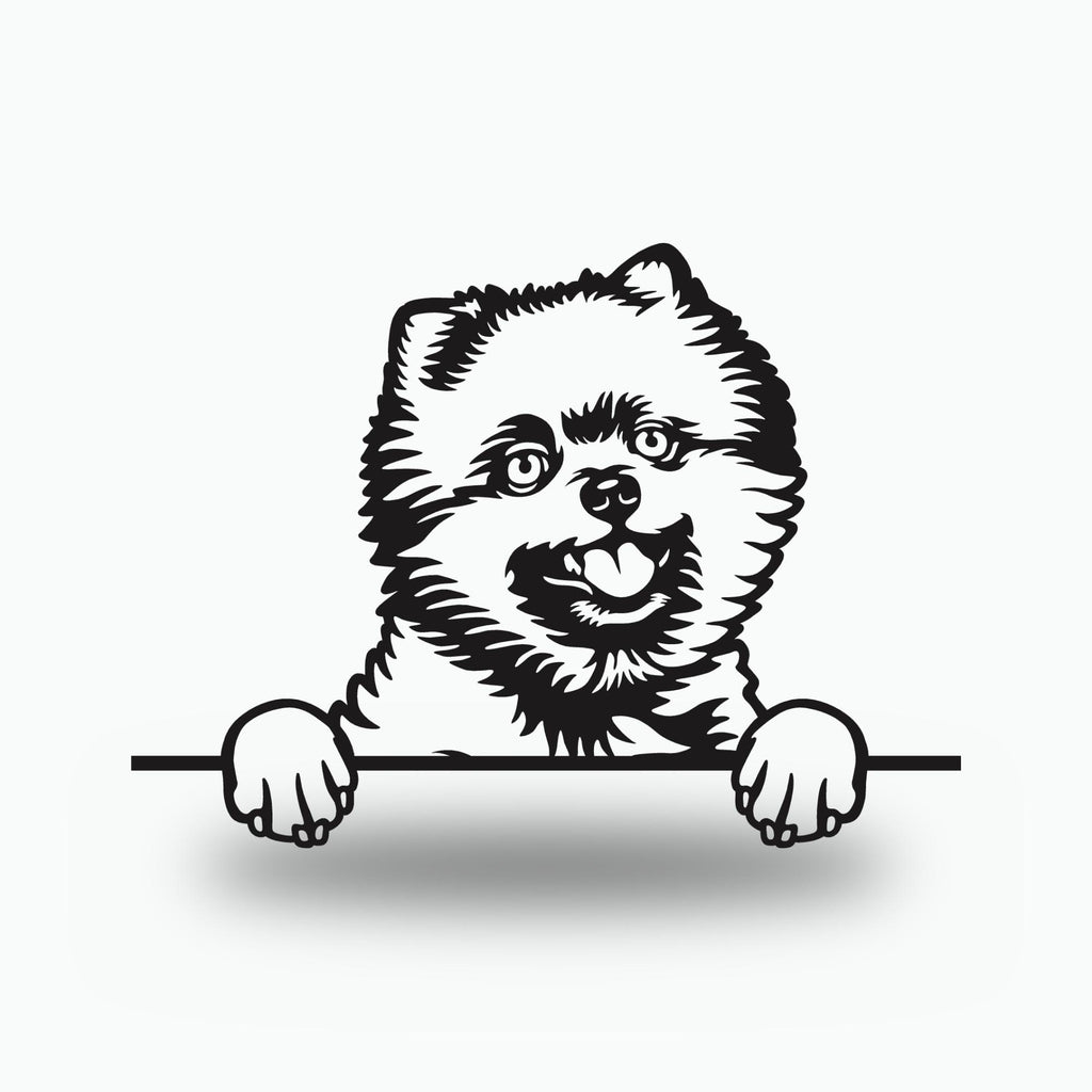 Pomeranian Metal Wall Art Metal Dog Sign — front view on white background