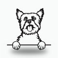 Yorkshire Terrier Metal Wall Art Metal Dog Sign — front view on white background