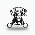 Weimaraner Metal Wall Art Metal Dog Sign — front view on white background