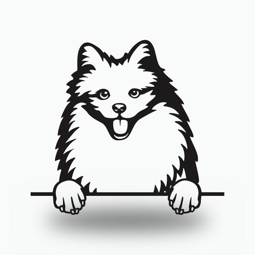 American Eskimo Metal Wall Art Metal Dog Sign — front view on white background
