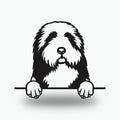 Bearded Collie Metal Wall Art Metal Dog Sign — front view on white background