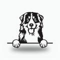 Bernese Mountain Dog Metal Wall Art Metal Dog Sign — front view on white background