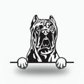 Cane Corso Metal Wall Art Metal Dog Sign — front view on white background