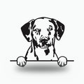 Dalmatian Metal Wall Art Metal Dog Sign — front view on white background