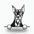 Doberman Metal Wall Art Metal Dog Sign — front view on white background
