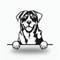 Greater Swiss Mountain Dog Metal Wall Art Metal Dog Sign — front view on white background
