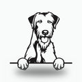 Irish Wolfhound Metal Wall Art Metal Dog Sign — front view on white background