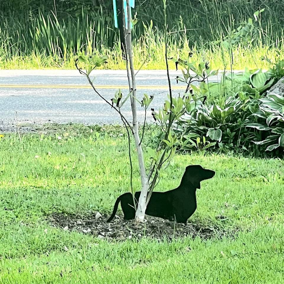 Dachshund Garden Stake Metal Garden Stake — shown on a rustic wall