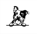 Pitbull Metal Wall Art: Dog Lover Gift Metal Dog Sign — alternate angle