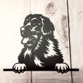 Newfoundland Dog Metal Wall Art Metal Dog Sign — front view on white background