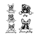 Corgi Pug Chihuahua Bulldog Peeking Dog Art Metal Dog Sign — front view on white background
