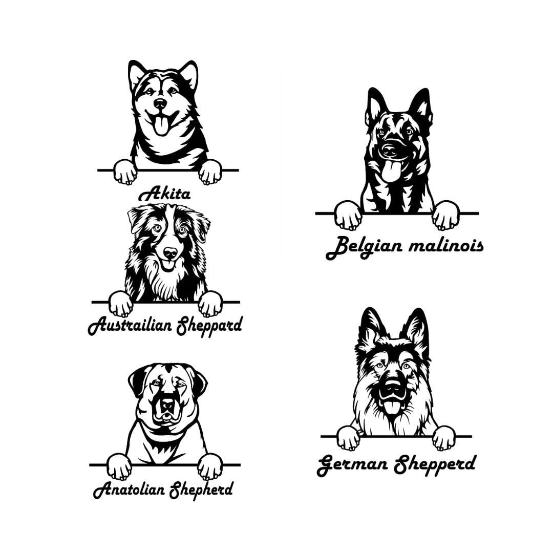 German Shepherd Australian Shepherd Peeking D Metal Dog Sign — front view on white background