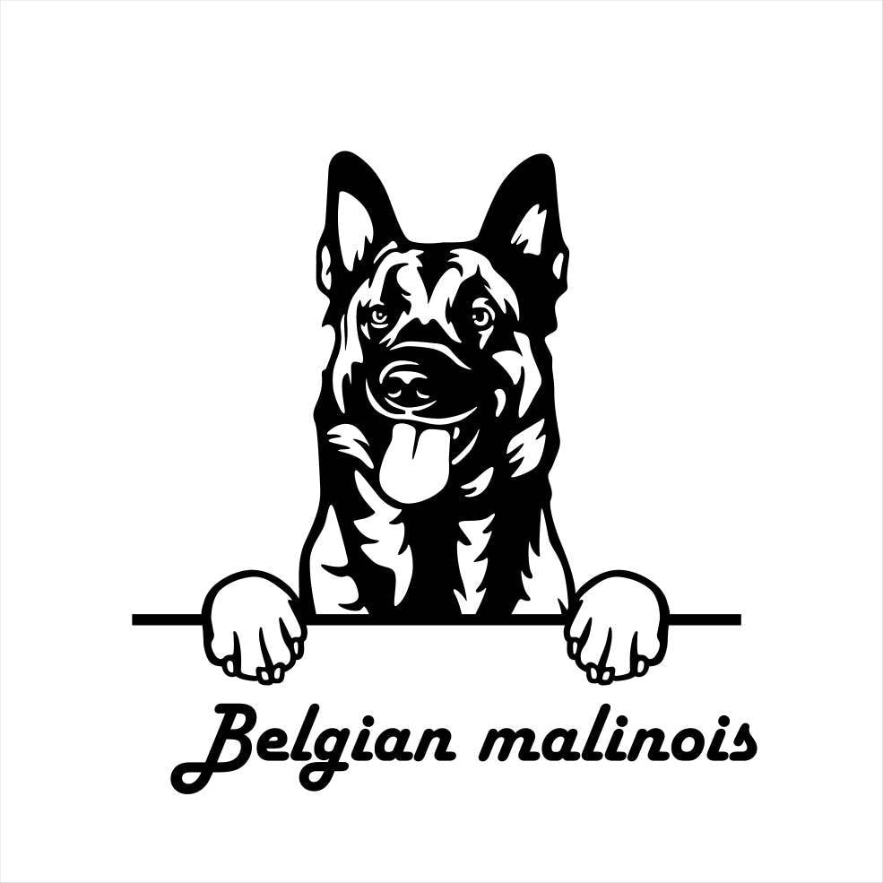 German Shepherd Australian Shepherd Peeking D Metal Dog Sign — alternate angle