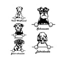 Schnauzer Labradoodle Wolfhound Metal Dog Art Metal Dog Sign — front view on white background