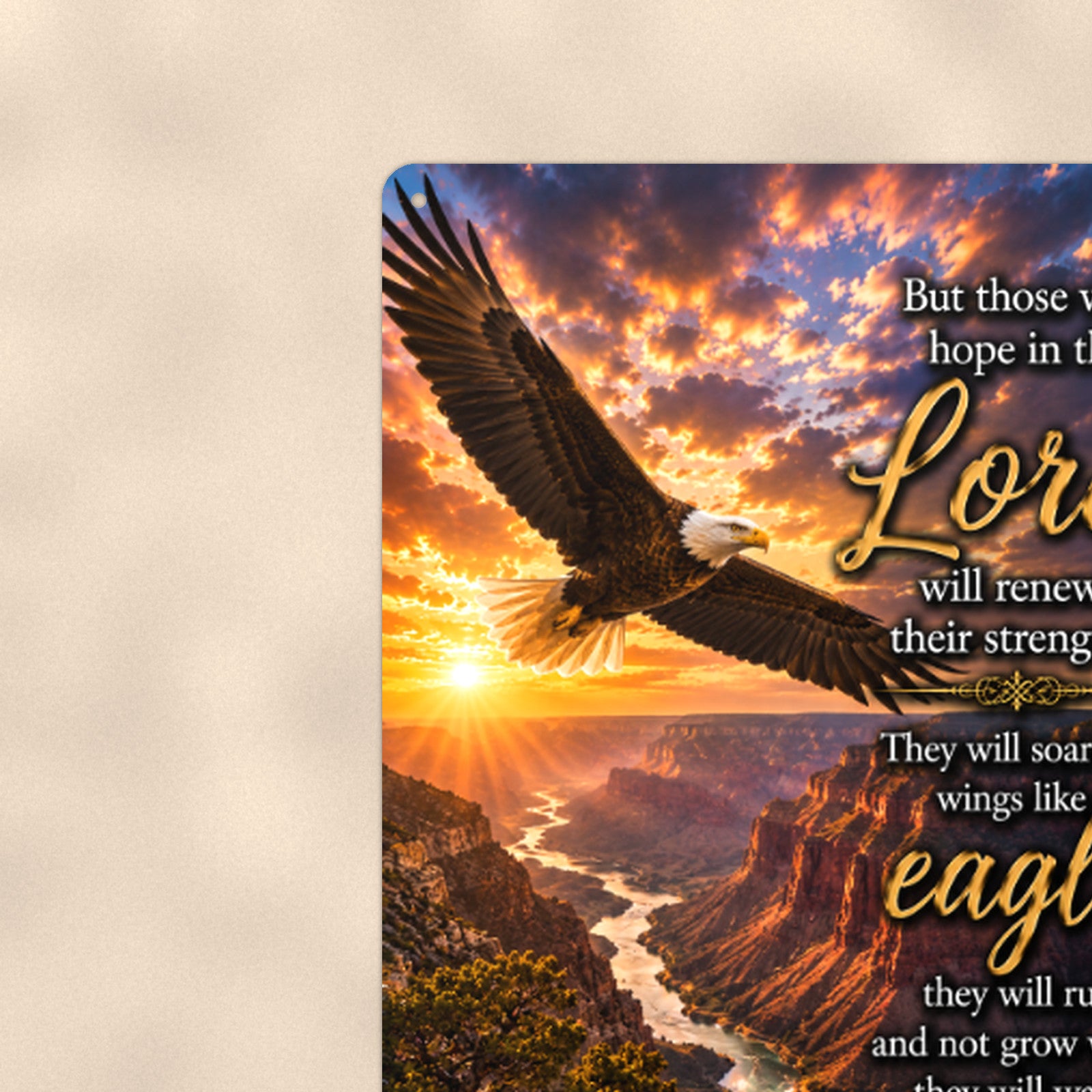 Wings Like Eagles River Canyon — Isaiah 40:31 aluminum metal sign 8" x 12" - close-up view of the printed artwork