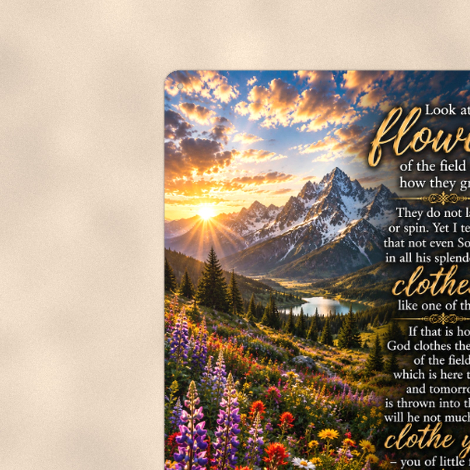 Look at the Flowers of the Field — Matthew 6:28-30 aluminum metal sign 8" x 12" - close-up view of the printed artwork