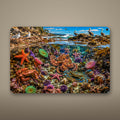 Coral Reef Scene Metal Wall Art, Aluminum Sign, Marine Wildlife Wall Decor, Coastal Beach House Gift — aluminum sign mockup