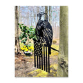 Eagle Flag Metal Garden Stake Metal Garden Stake — front view on white background
