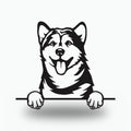 Alaskan Malamute Dog Lover Gift Metal Dog Sign — front view on white background