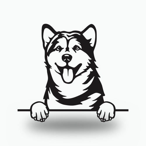 Alaskan Malamute Dog Lover Gift Metal Dog Sign — front view on white background