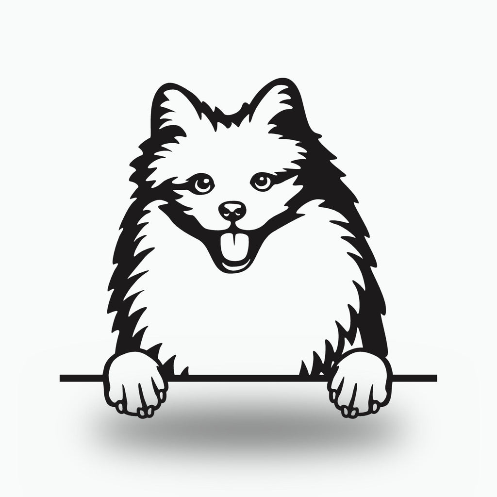 American Eskimo Dog Lover Gift Metal Dog Sign — front view on white background