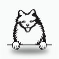 American Eskimo Dog Lover Gift Metal Dog Sign — front view on white background