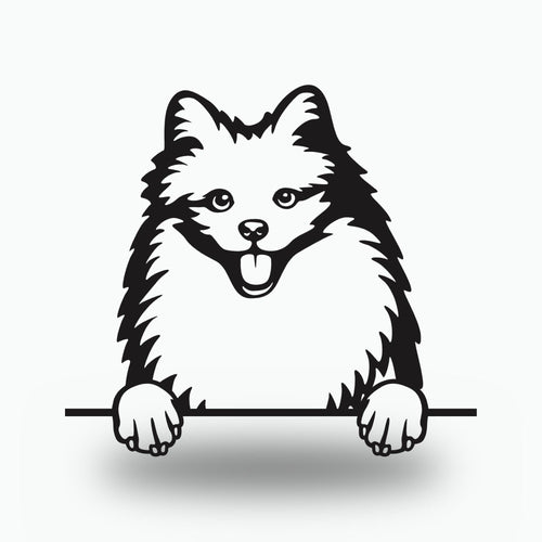 American Eskimo Dog Lover Gift Metal Dog Sign — front view on white background