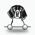 American Foxhound Dog Lover Gift Metal Dog Sign — front view on white background