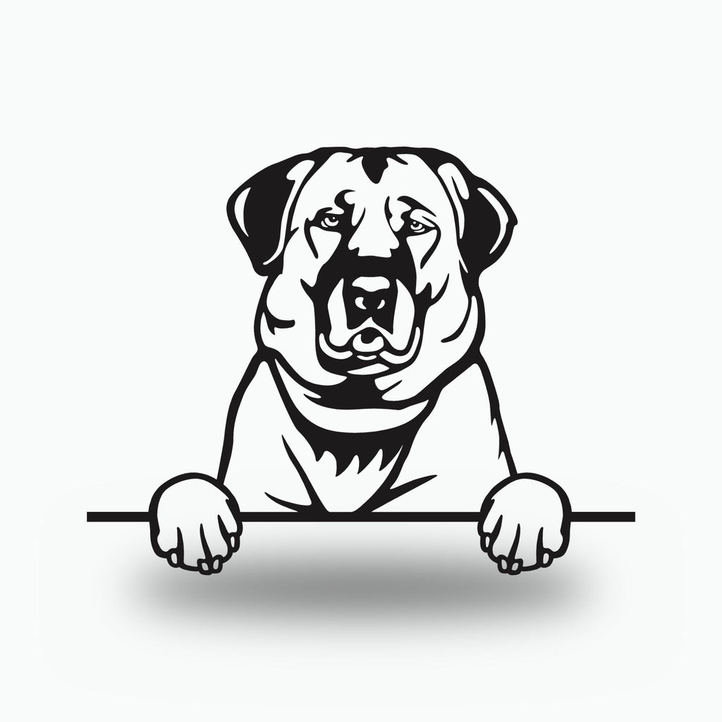 Anatolian Shepherd Dog Lover Gift Metal Dog Sign — front view on white background