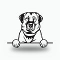 Anatolian Shepherd Dog Lover Gift Metal Dog Sign — front view on white background