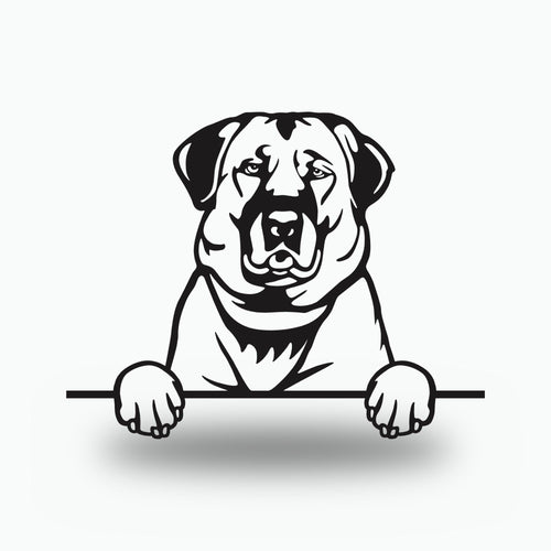 Anatolian Shepherd Dog Lover Gift Metal Dog Sign — front view on white background