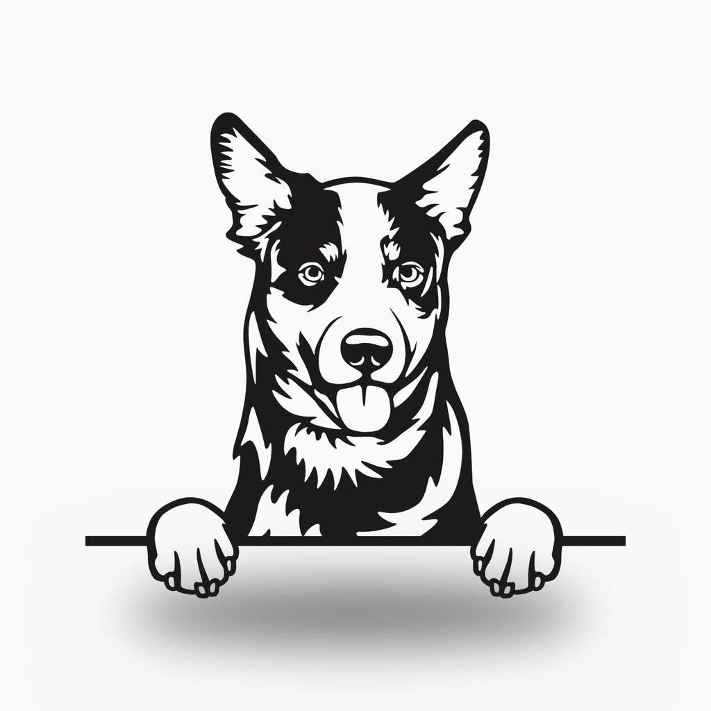 Australian Cattle Dog Lover Gift Metal Dog Sign — front view on white background