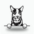 Australian Cattle Dog Lover Gift Metal Dog Sign — front view on white background