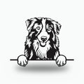 Australian Shepherd Dog Lover Gift Metal Dog Sign — front view on white background